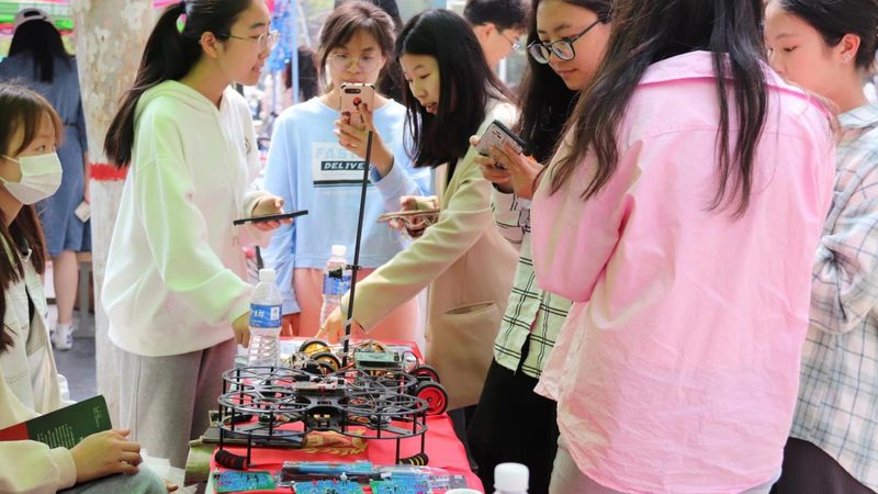 申报材料反复退回，问题究竟出在哪